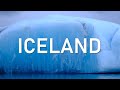 Наблюдение за китами, ледники и рыбалка в Исландии