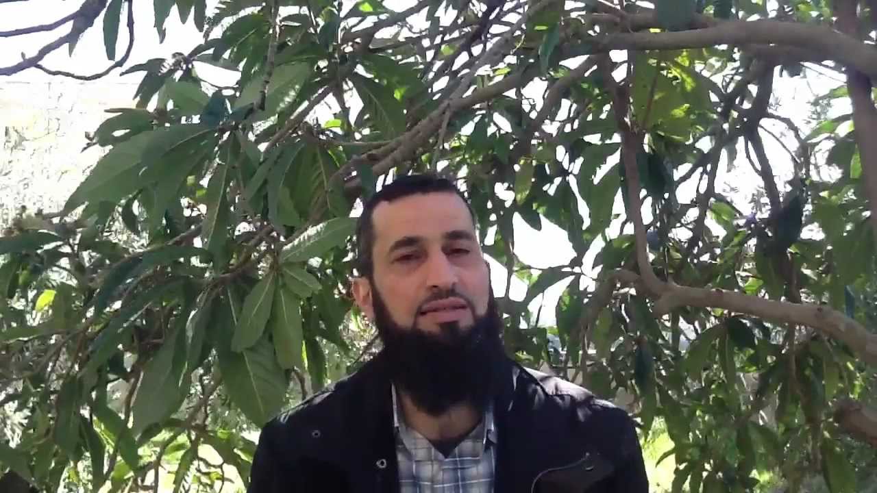 نصرة للشريعة ٣: المعنى الخطير للتدرج في تطبيق الشريعة