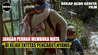 To See Means to Die | Storyline of the 2018 Horror Film Bird Box | Film Facts