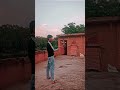 tiger🦾🕊️👍🏻#pigeonlover #StudyWithMe#LearningTips#shortseducation#shortsstudy#StudyVlog