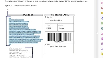 ZPL Variable Fields Printing Example