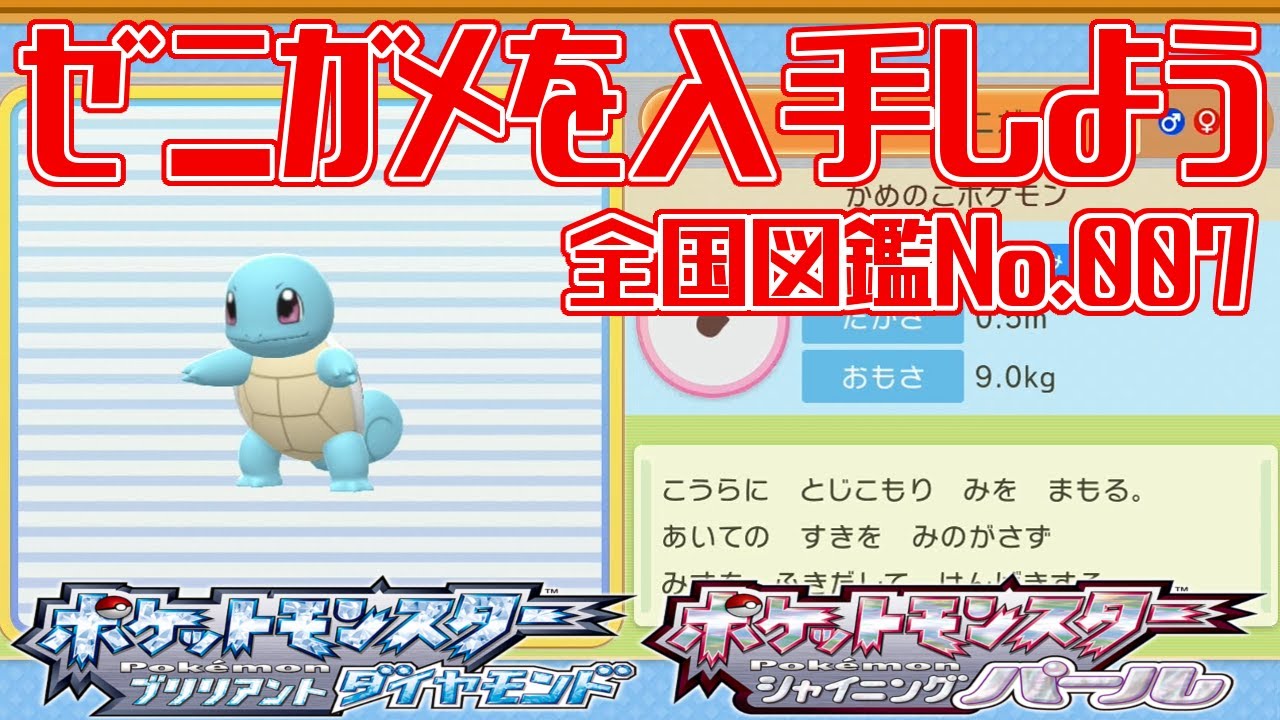 ポケモンパール パールル | ポケモンカードゲーム公式ホームページ