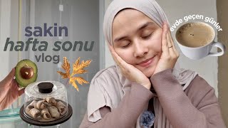 Kahve Önerisi, Cilt Bakımım, Sevdiğim Atıştırmalık, Sakin Hafta Sonu Vlog