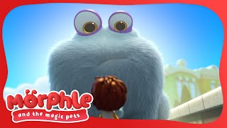 Gobblefrog | Morphle and the Magic Pets | Available on Disney+ and Disney Jr | Kids Cartoons