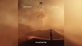 Kygo & Ava Max - Before You Know It (KumaCole Flip) 