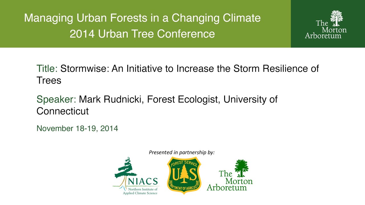 Stormwise: An Initiative to Increase the Storm Resilience of Trees