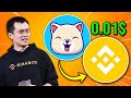 KISHU INU BINANCE LISTING ! IS IT POSSIBLE ?! KISHU INU NEWS ! KISHU INU PRICE PREDICTION