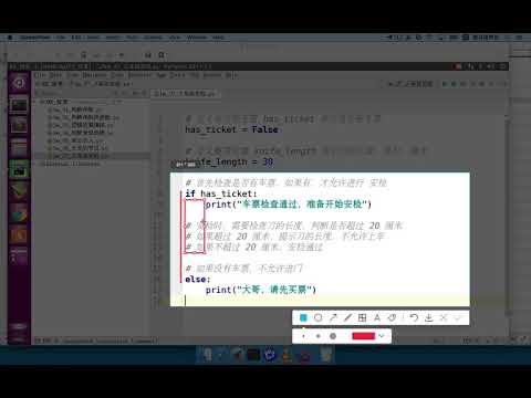 黑马程序员 Python 教程： 100 if嵌套 04 扩展PyCharm使用Tab统一增加缩进