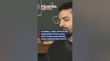 doorbell video shows dog abandoned from car in West Miami-Dade before good Samaritans step in