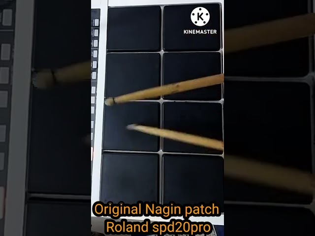 Original Nagin patch Roland spd20pro class=