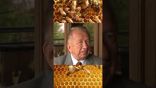 prof. dr hab. Ryszard Czarnecki o pyłku pszczelim kwiatowym.#pszczoła  #pszczoły #apiterapia