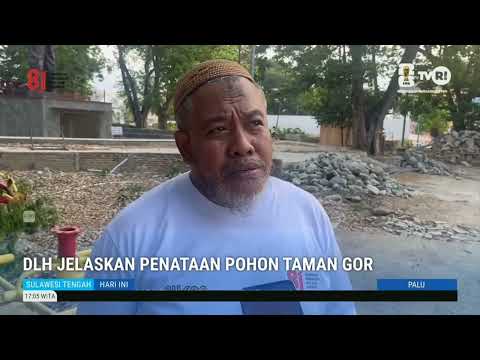 STHI - DLH Jelaskan Penataan Pohon Taman GOR
