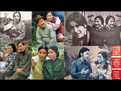 春風微微(丁黛)--65年中視連續劇望春風主題曲