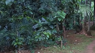 ka raka
