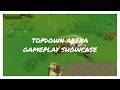 Topdown Arena Gameplay - Hytale Mod
