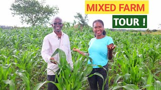 Profitable MIXED FARMING Business|  NO REGRETS!