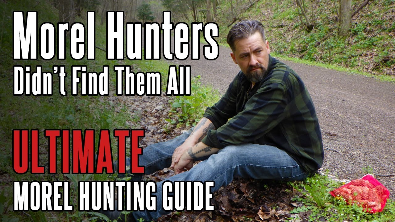 Finding Morels in Highly Hunted, Popular Spots (2021) | Foraging for Mushrooms in Appalachia