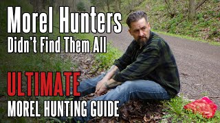 Finding Morels in Highly Hunted, Popular Spots (2021) | Foraging for Mushrooms in Appalachia