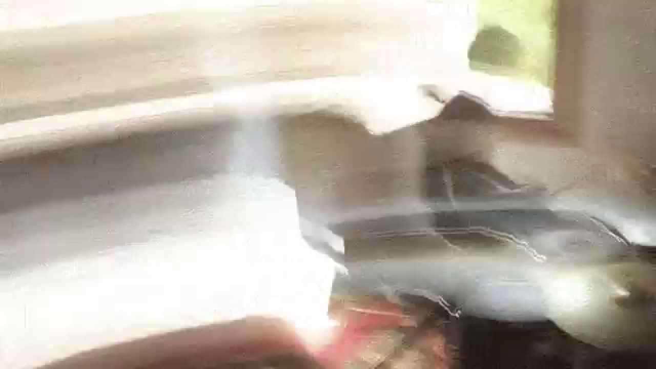 Watch Trementina - Fall Into Your Bed (Official Video) on YouTube Watch Trementina - Fall Into Your Bed (Official Video) on YouTube