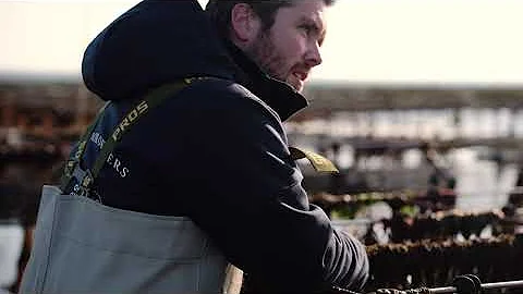 Oesterij Yerseke - movie