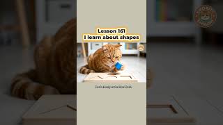 🐱 Lesson 161 – I learn about shapes | Easy English Sentences | Kiko Kitty English