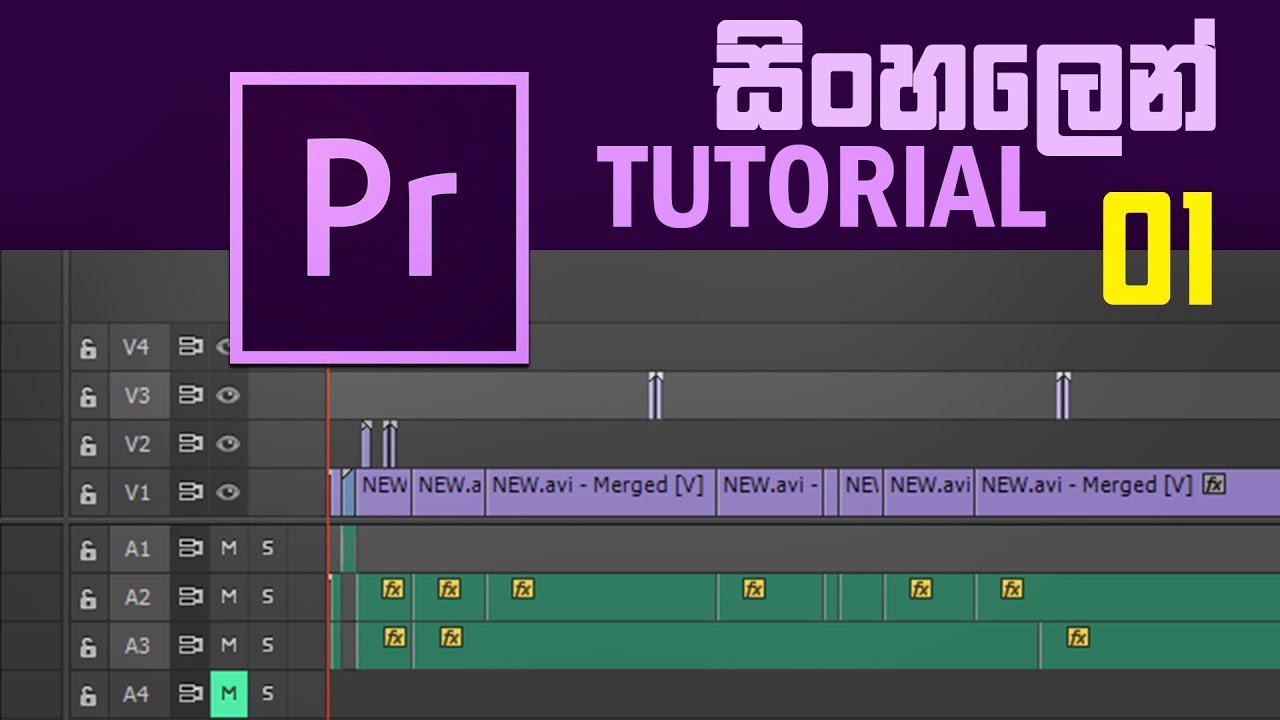 Premiere Tutorial No.01 (සිංහලෙන්) - YouTube