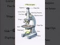 #science#biology#microworld#macroscope#shorts#biology#viralshorts#trending#shortvideo#explore#fyp