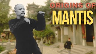 A Journey into the Origins of Seven Star Mantis