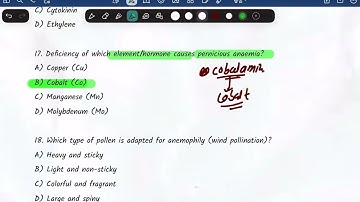 Bsc Nurshing  2025 solutions answer key of Botany #cee 