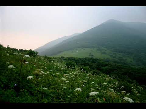 양희은 들길 따라서 1976