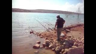 Sehpa Li Sazan Avi Yeşi̇l Derefish Table