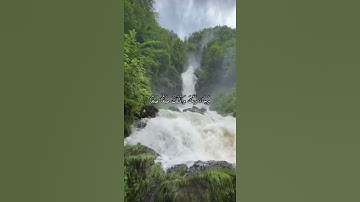 واتس اب قران كريم القارئ ياسر دوسري (سوره الفجر)