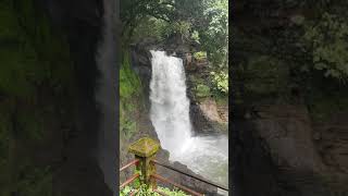 Sofia Anshari New Vlog Goa New Vlog Goa Vlog Water Pool