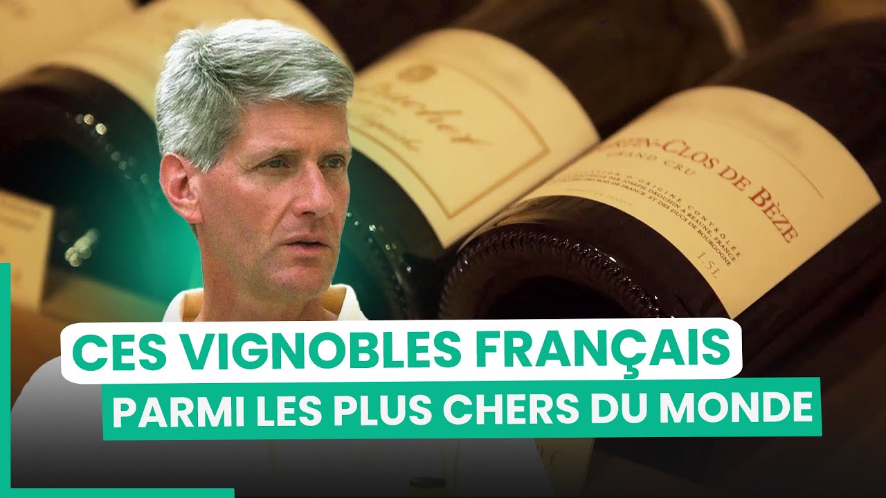 Cru de Bourgogne : les vins les plus prestigieux et rares au monde | 750GTV