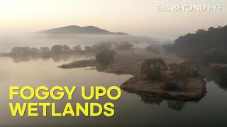 안개가 자욱히 낀 우포늪 screenshot 4