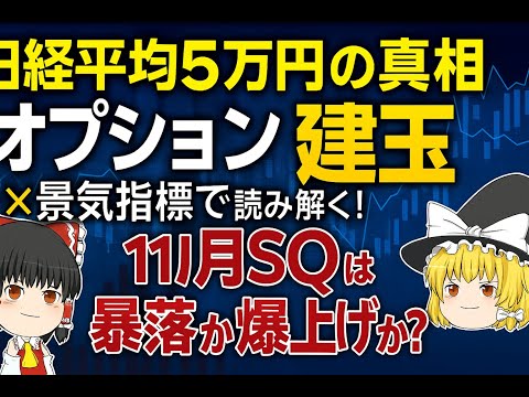 【ゆっくり解説】日経平均5万円の真相 オプション建玉×景気指標で読み解く！11月SQは暴落か爆上げか？【ゆっくりお金】【ゆっくり投資】