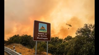 incendios forestales españa julio 2022