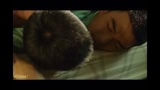 “everything is romantic - jia han & birdy (your name engravedherein)”