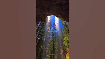 #تلاوات #القرآن_الكريم #تلاوة_خاشعة #ناصر_القطامي