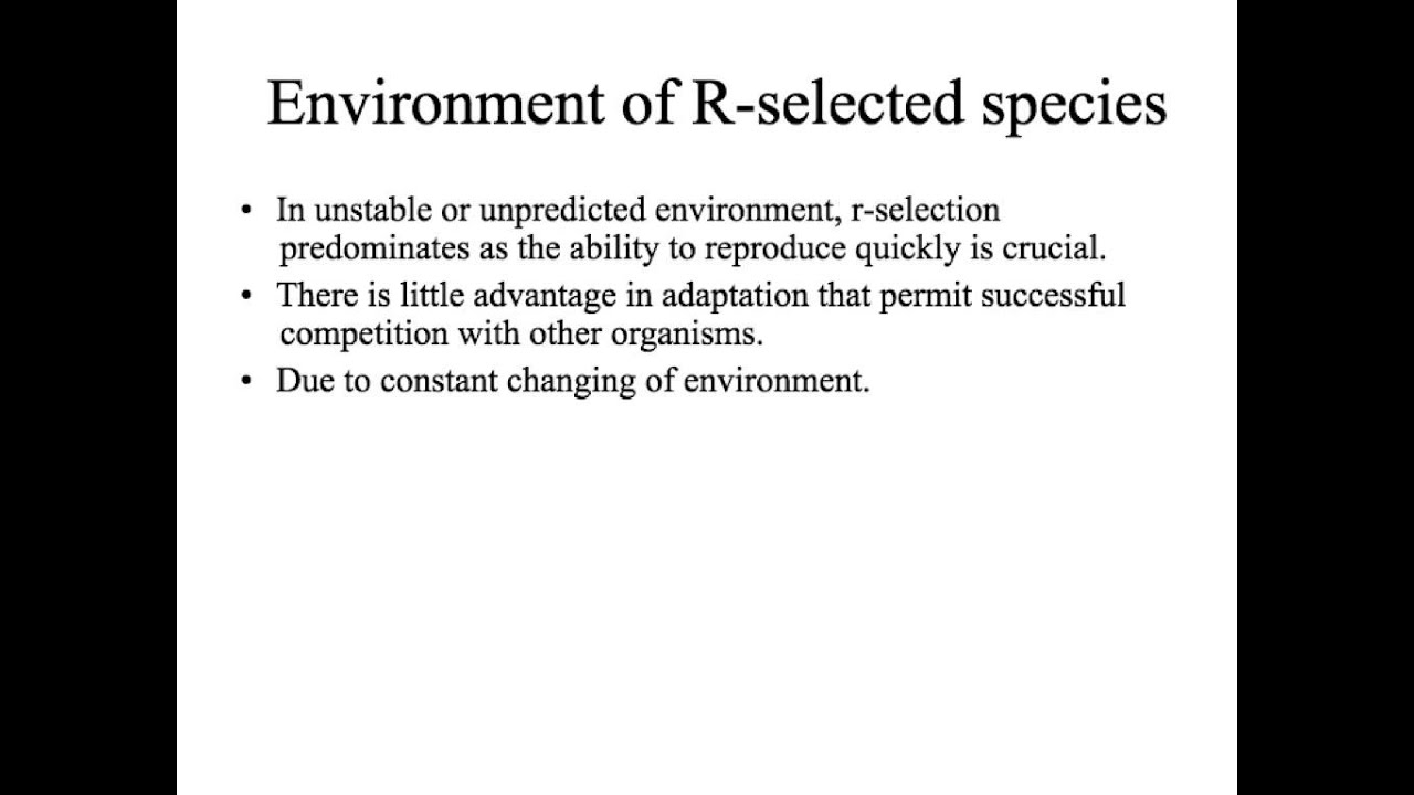 r and K selection YouTube