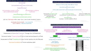 Functions of Growth Hormone. Chapter 76 part 4. Guyton and Hall Physiology.