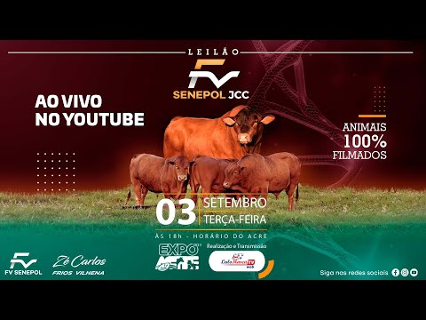 1º LEILÃO FV SENEPOL JCC #900