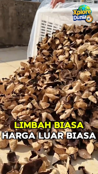 Rahasia Dibalik Kulit Jeruk yang Dijemur Ini!