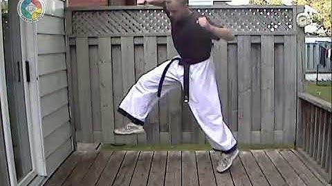 Taekwondo: Hapkido: Foundations: Jumping low x-block in x-stance (side view)
