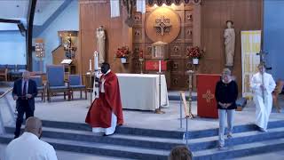 Pentecost Sunday Mass during the Day, May 19, 2024