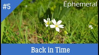 Ephemeral (Back in Time #5)