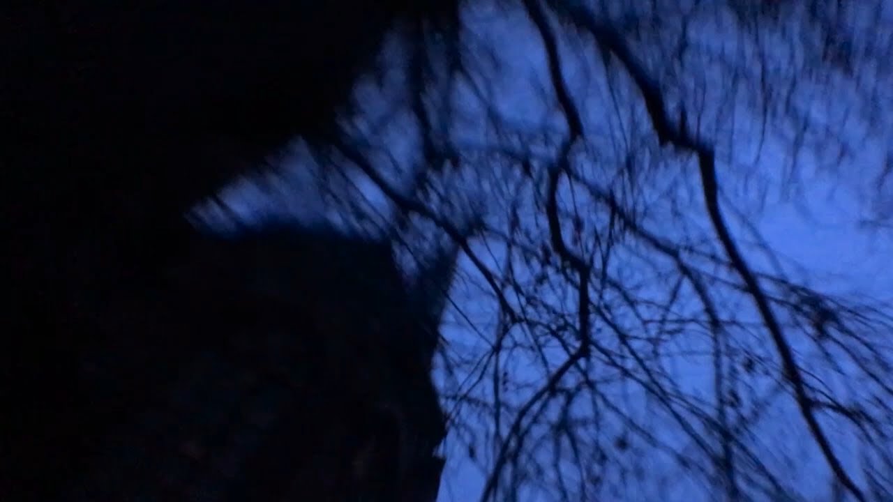 Dis Fig - Accordion [LOST ALONE]