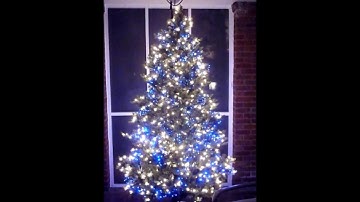 Decorate Your Tree With Versaline® 3-Channel Crab Lights - S4Lights