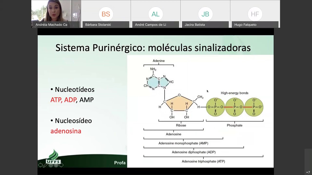 Aula introdutória sobre Sistema Purinérgico