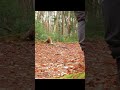 Fall Macro Mushroom Photography in the Rain, 2 Easy Hacks & Tips!
